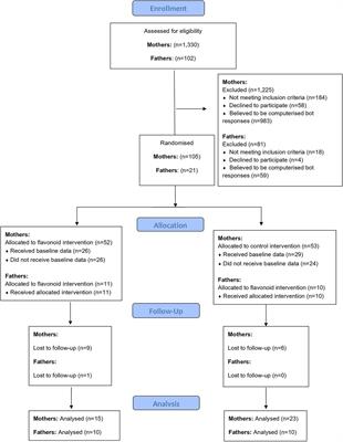 The effects of flavonoid supplementation on the mental health of postpartum parents